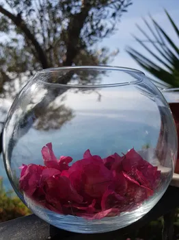 Nar Beach&Bistro resimleri Nar Beach&Bistro resimleri