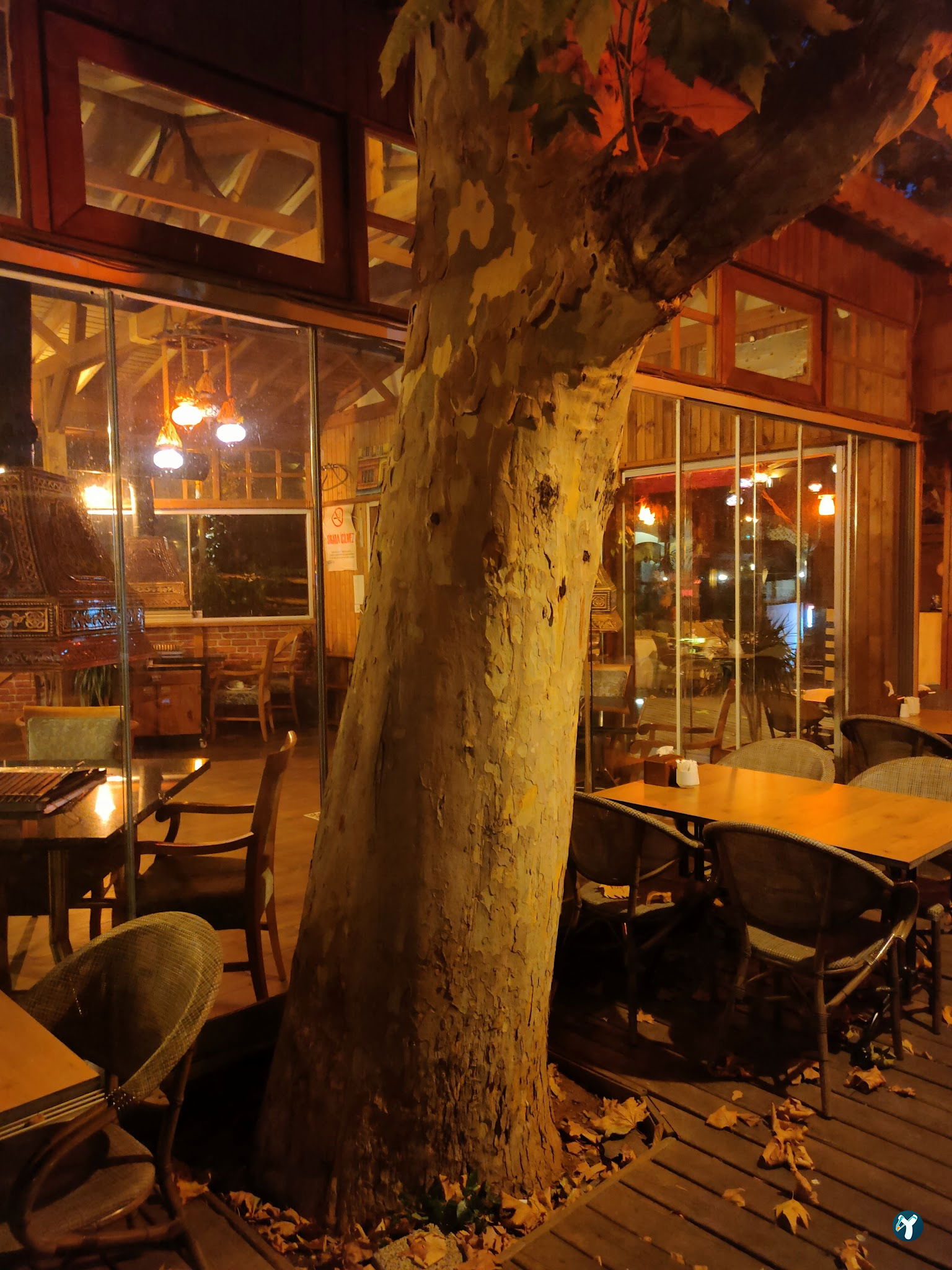 Cafe Flores