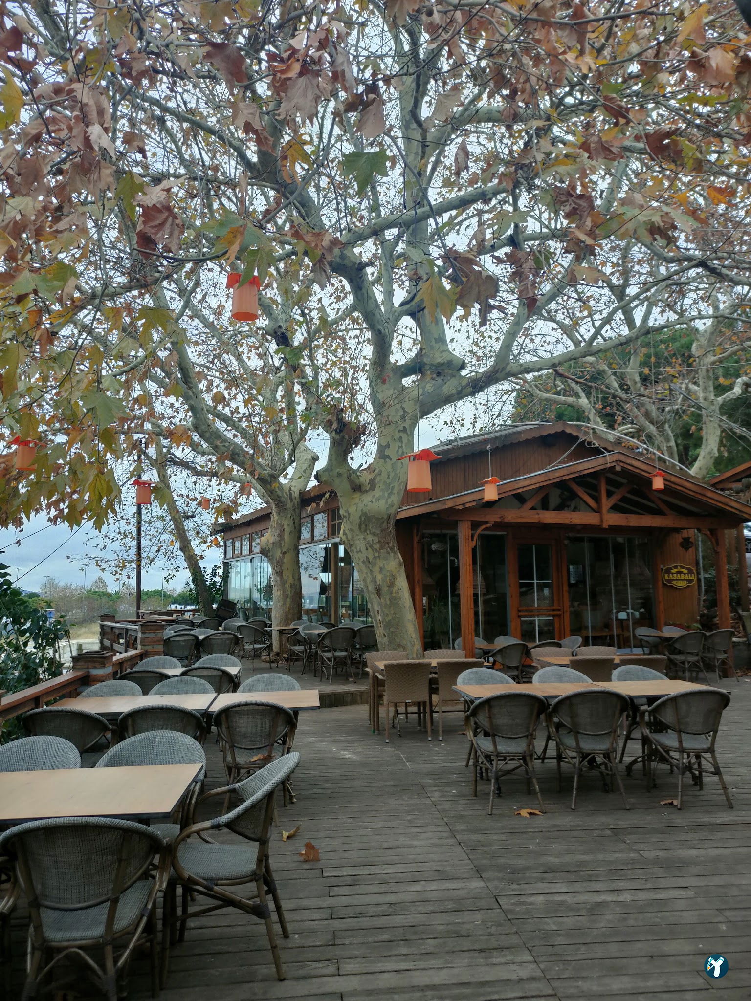 Cafe Flores