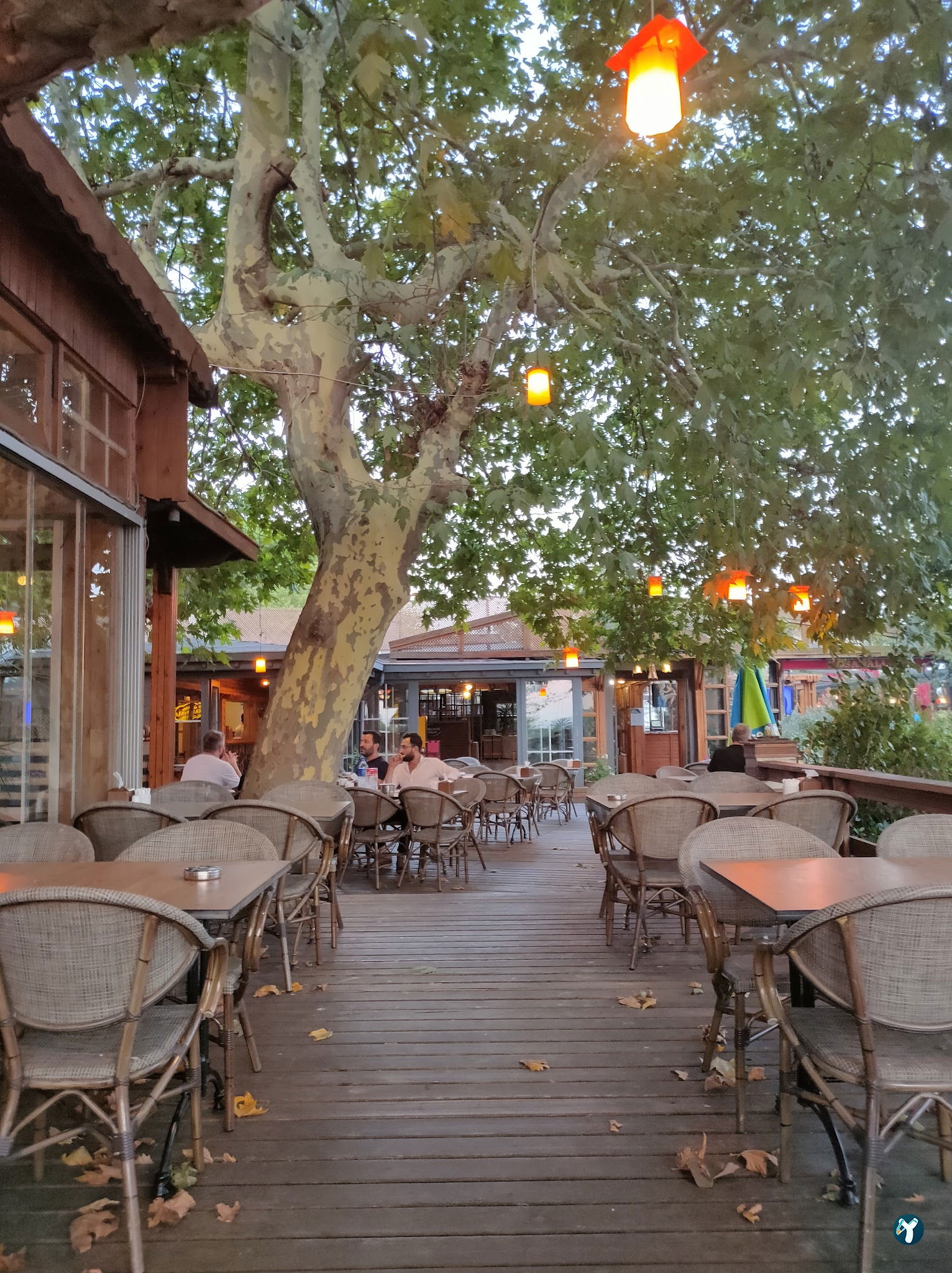 Cafe Flores