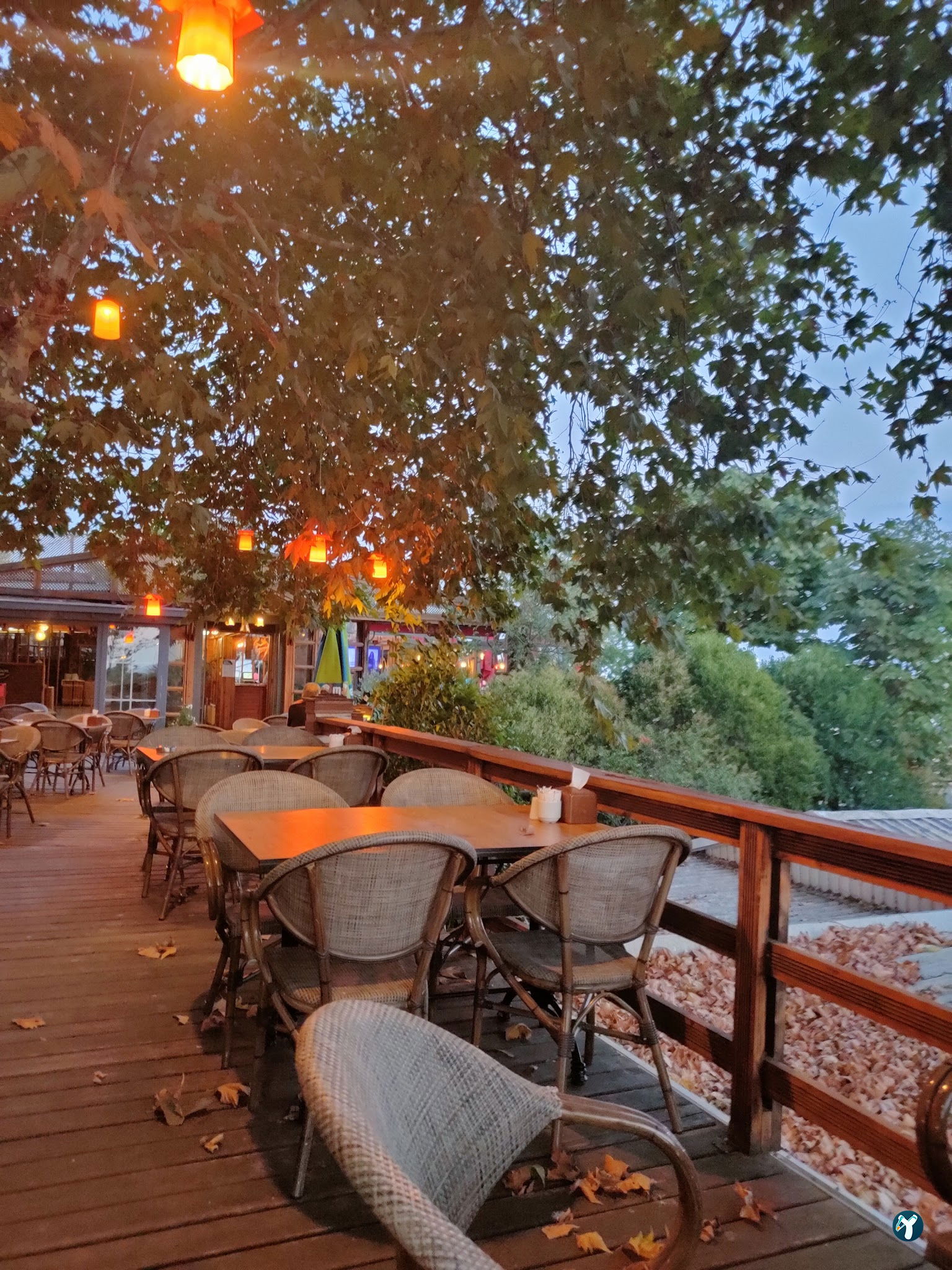 Cafe Flores