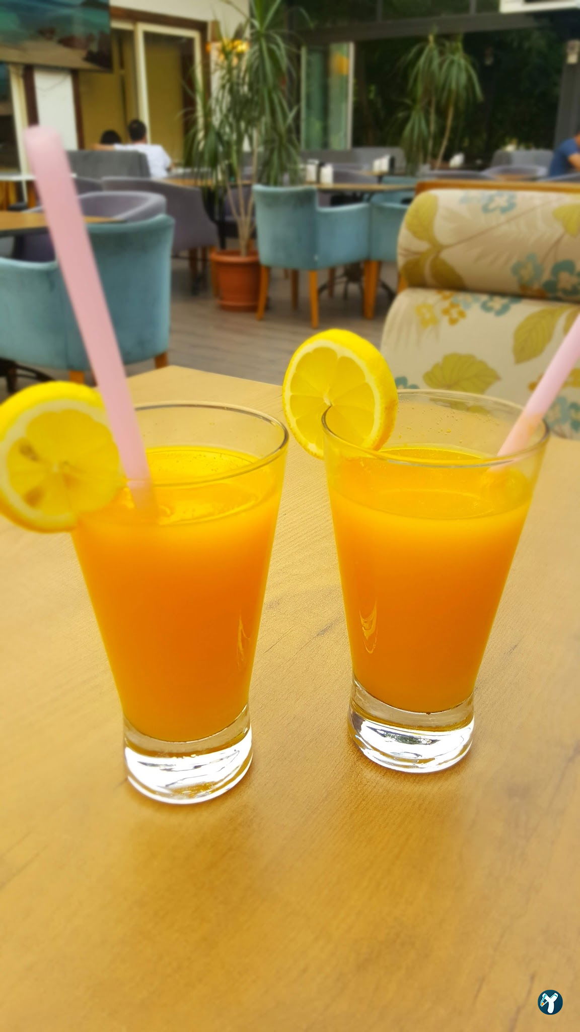 Cafe Flores