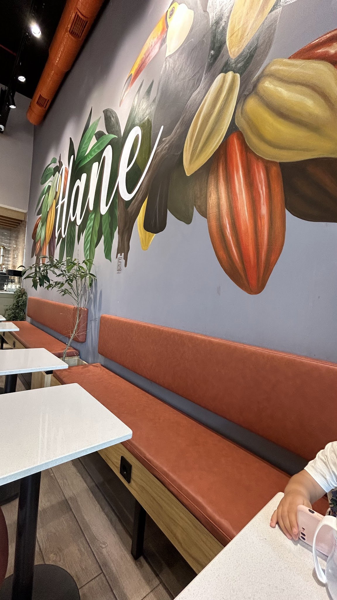 Hane Çikolata&Kahve Sancaktepe