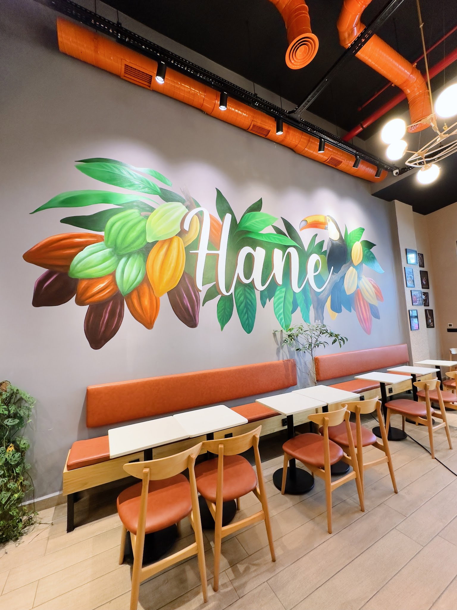 Hane Çikolata&Kahve Sancaktepe