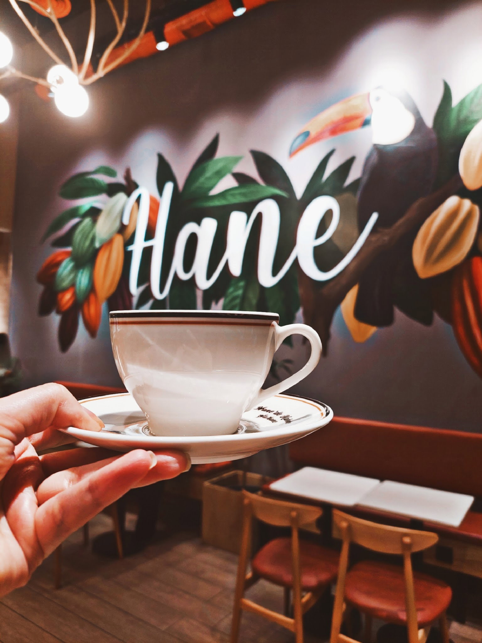 Hane Çikolata&Kahve Sancaktepe