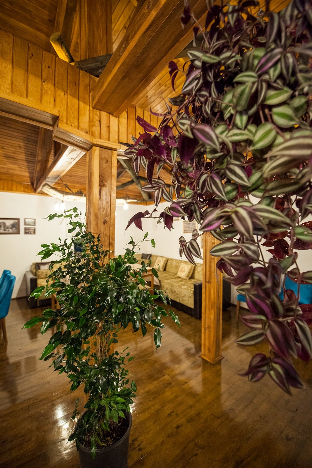 Misi Karşıyaka Kahvaltı Restaurant