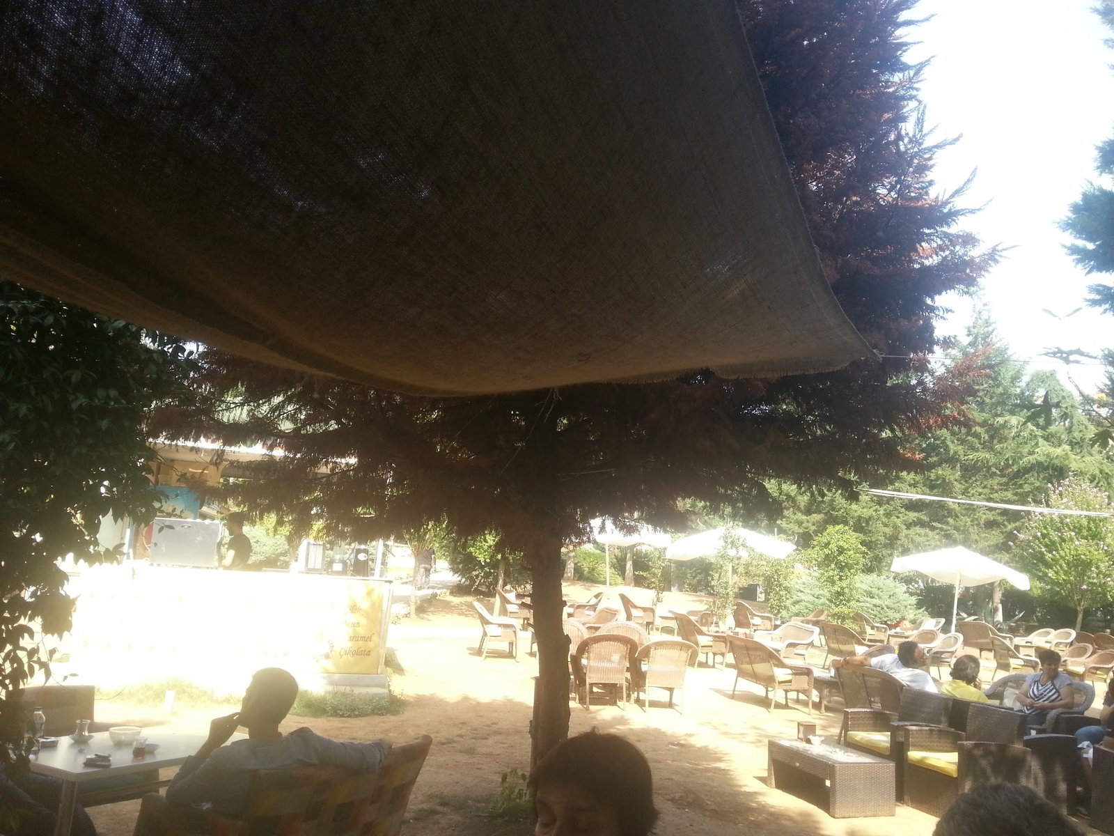 Botanik Cafe & Restaurant