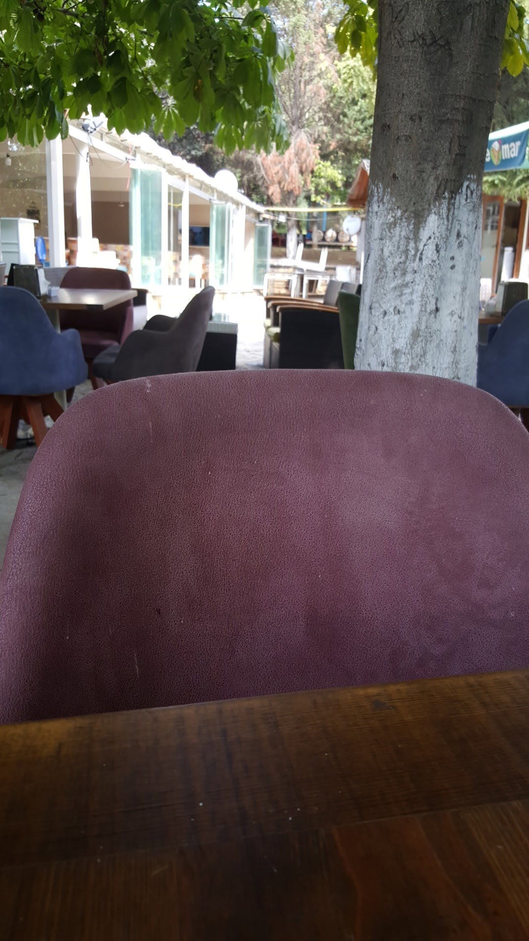 Botanik Cafe & Restaurant