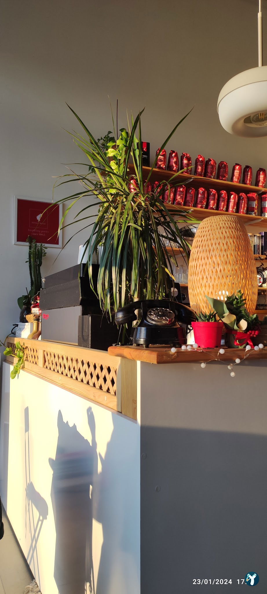 Brauner Cafe