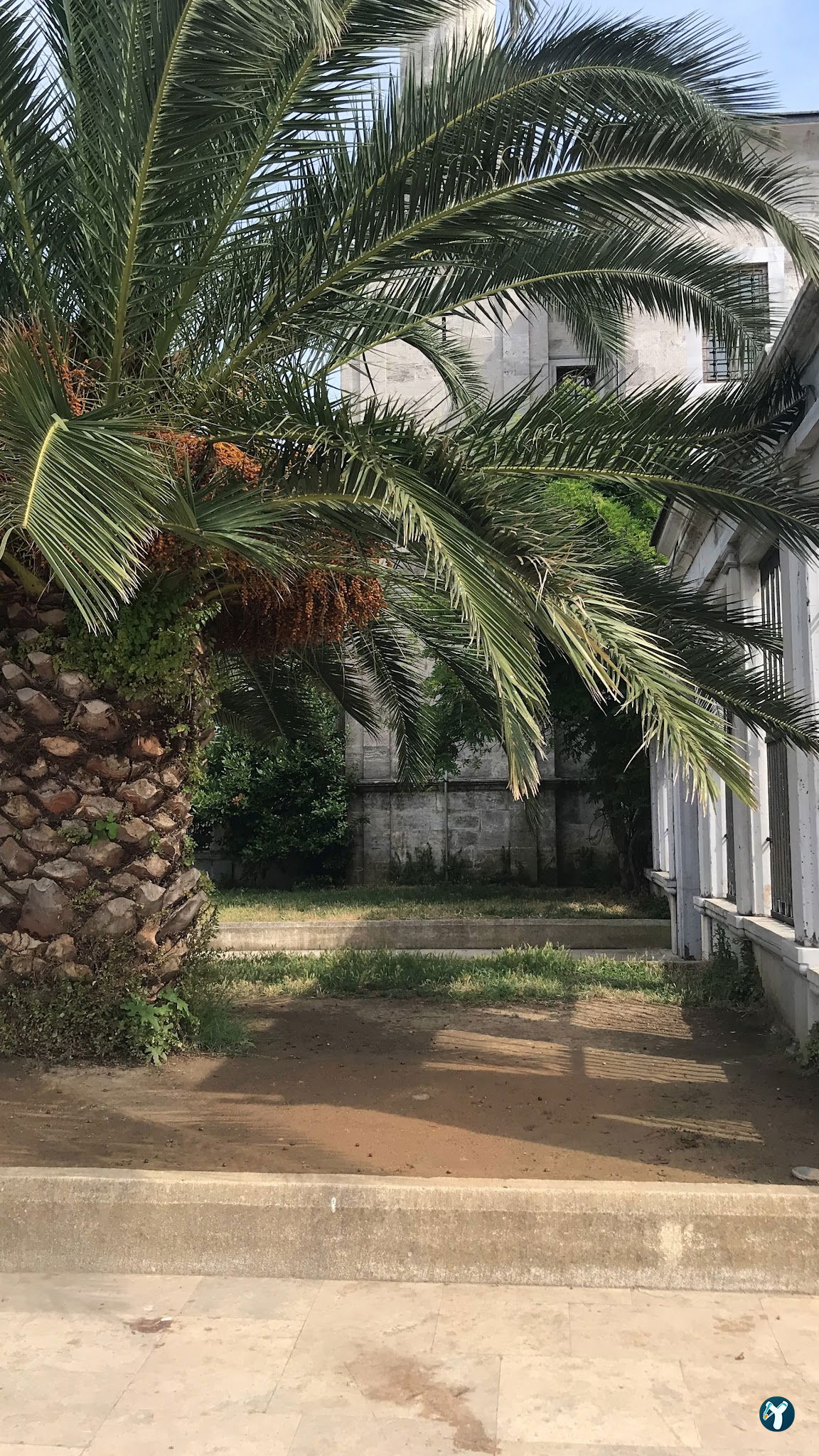 البوسفور