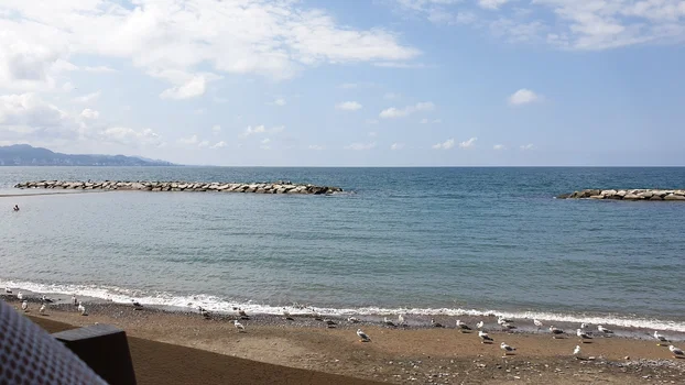 Şahin Et Mangal resimleri