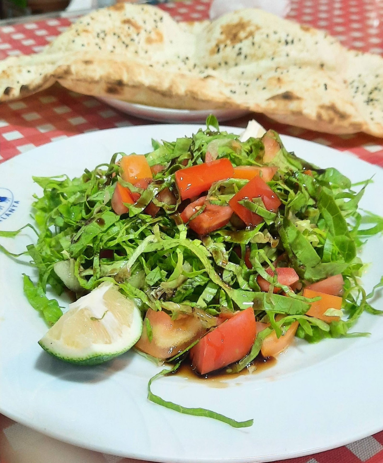 Gaziantep Başpınar Restorant