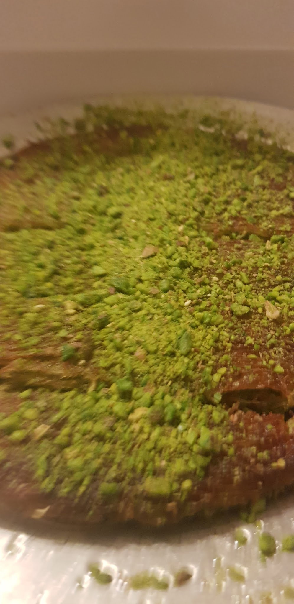 Qubba Concep Esenkent