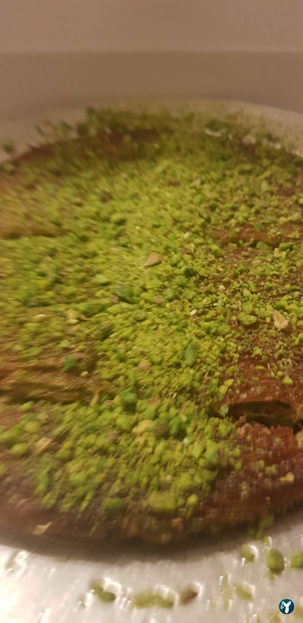Qubba Concep Esenkent
