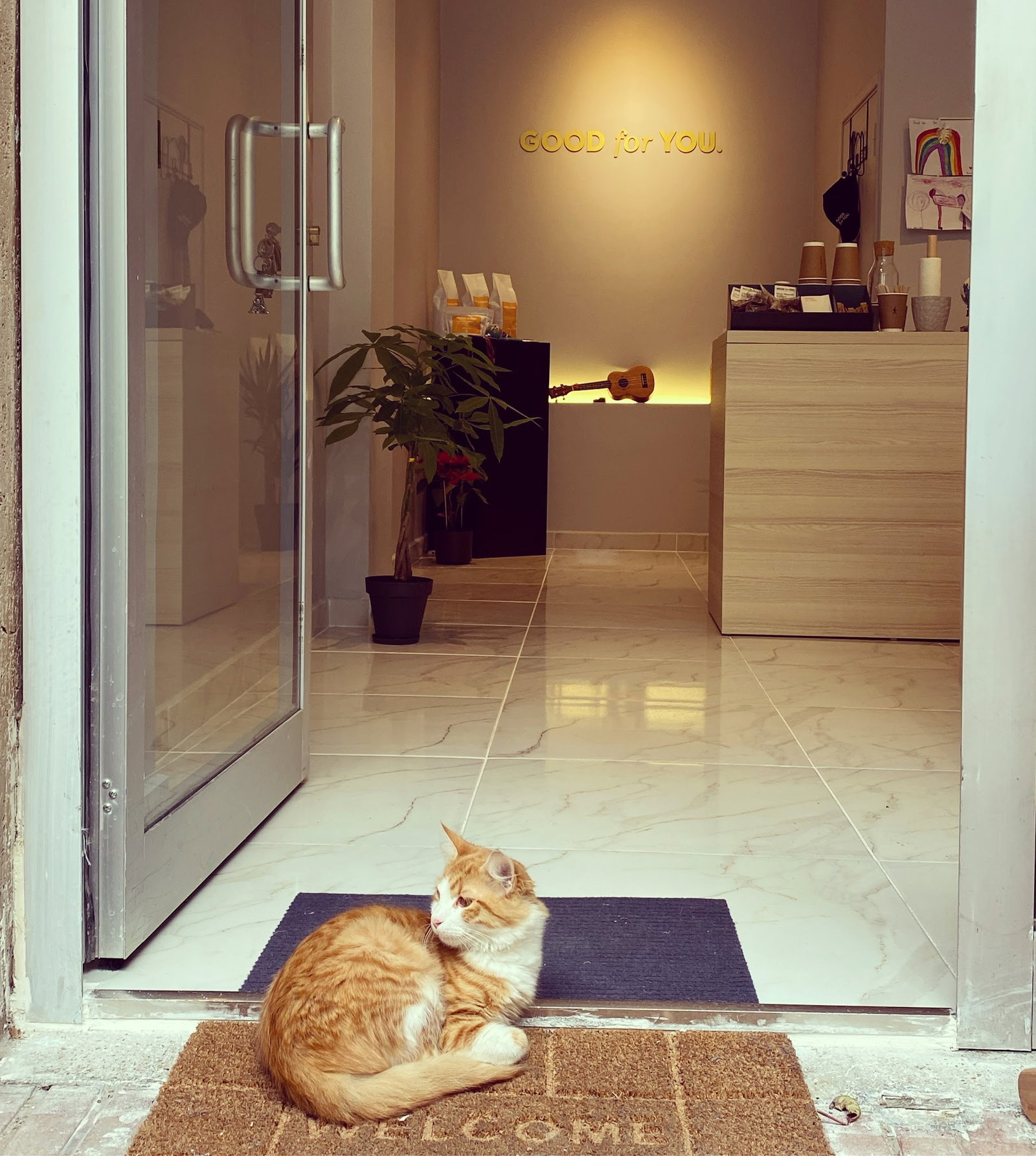 Sütlü Sade Kahve Dükkanı