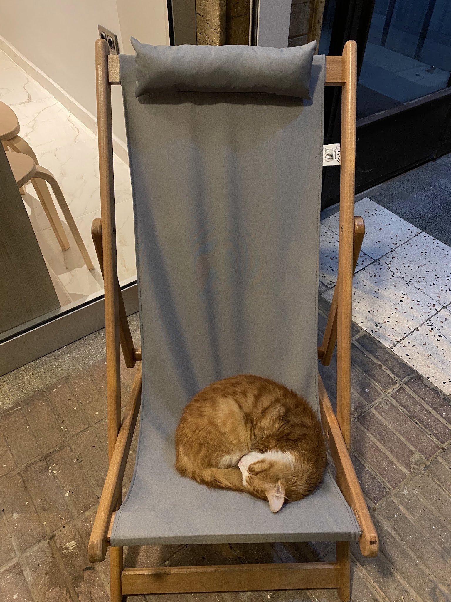 Sütlü Sade Kahve Dükkanı