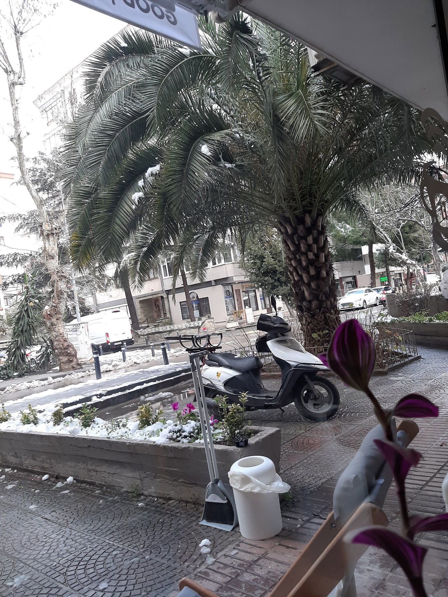 Sütlü Sade Kahve Dükkanı