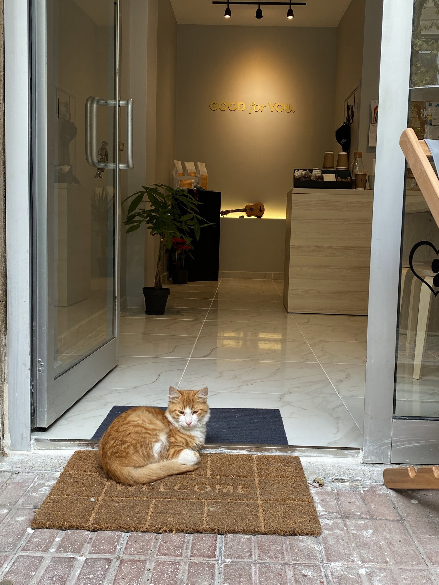 Sütlü Sade Kahve Dükkanı