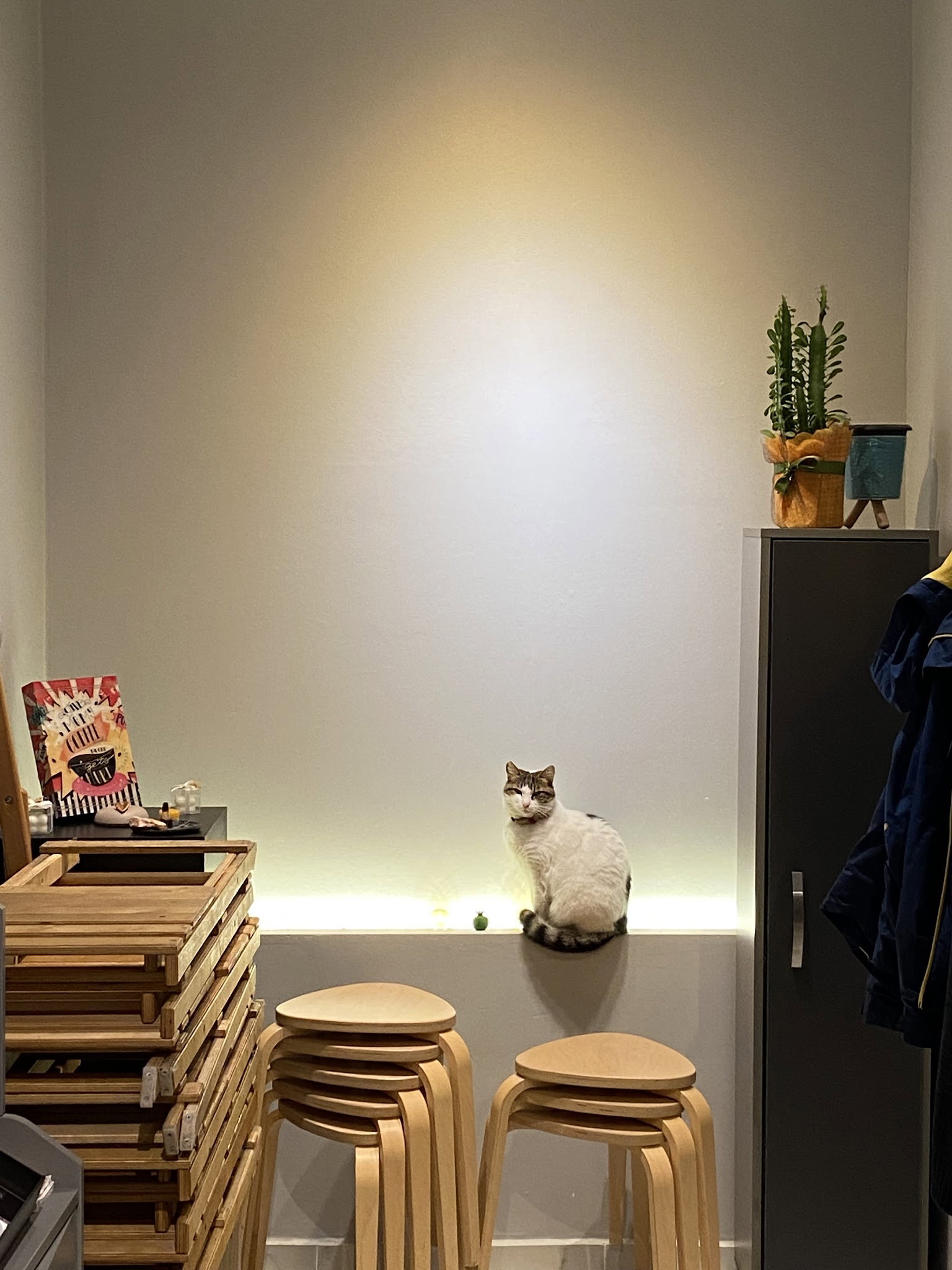 Sütlü Sade Kahve Dükkanı