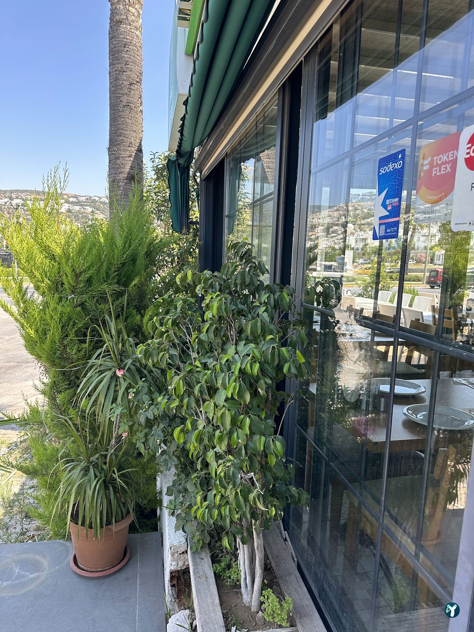Has Konyalı Gümbet Bodrum