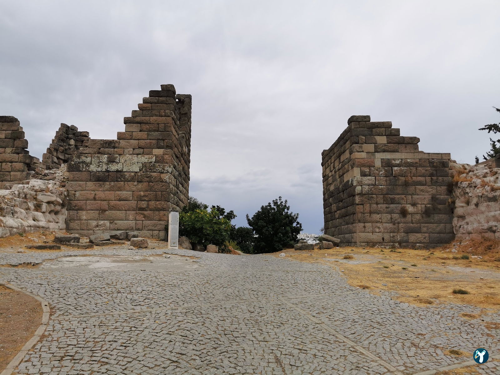 Has Konyalı Gümbet Bodrum