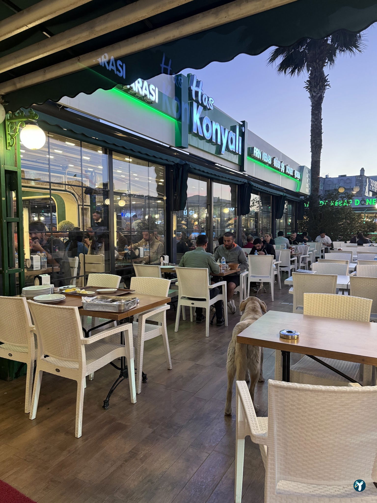 Has Konyalı Gümbet Bodrum