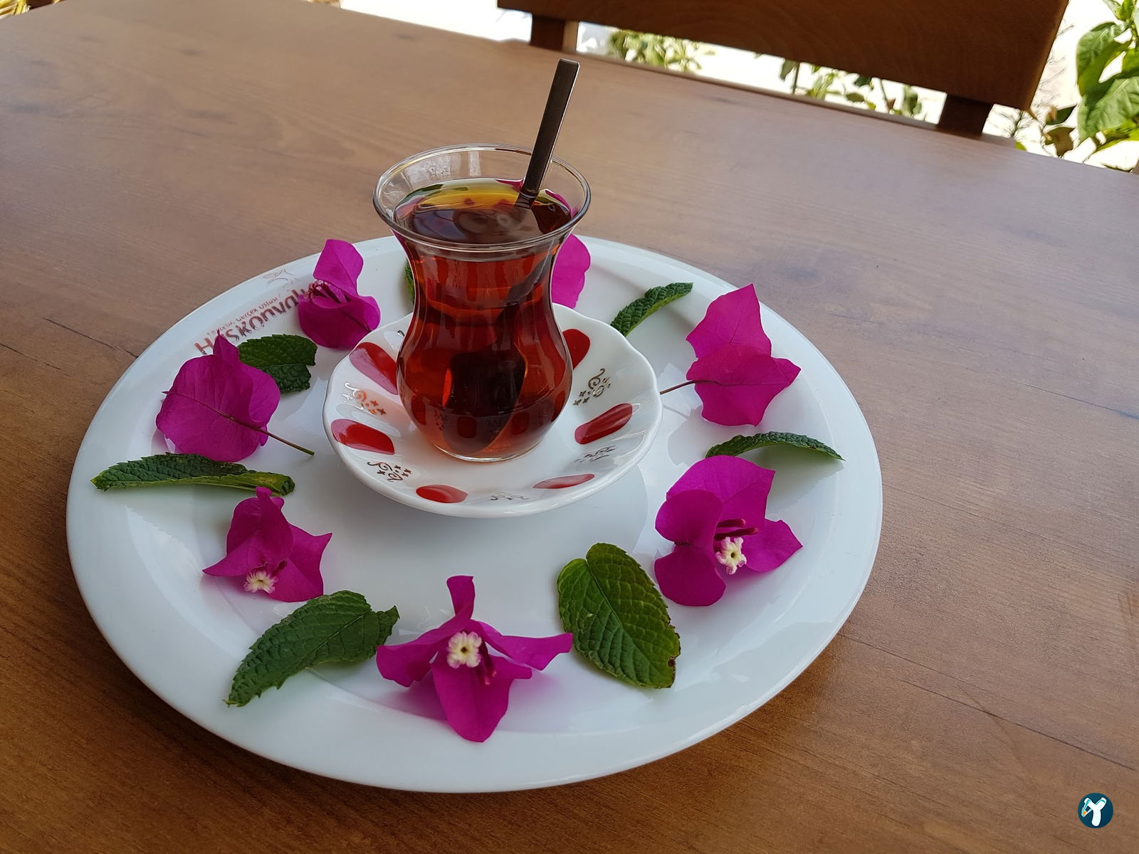 Has Konyalı Gümbet Bodrum