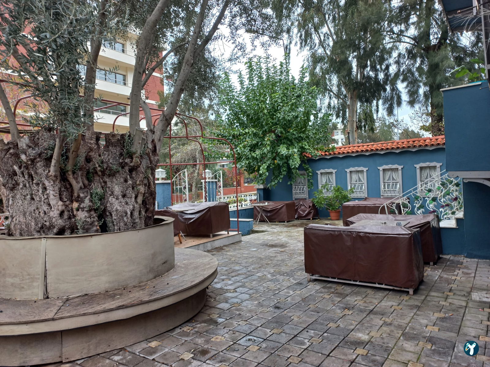 Cassava Cafe & Restaurant