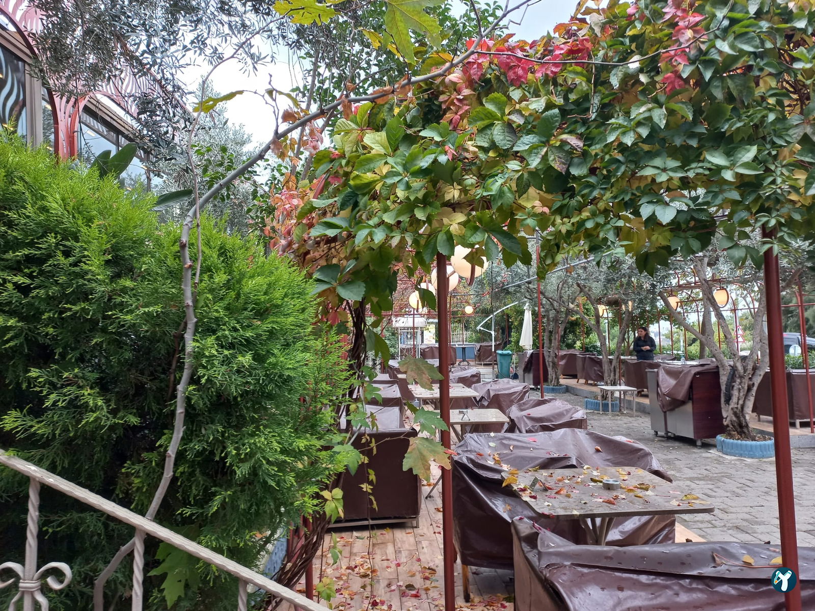 Cassava Cafe & Restaurant