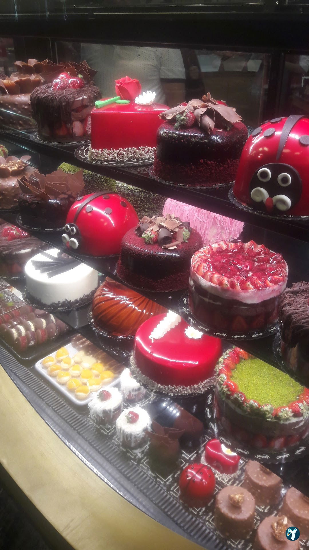 Antepli Şerifoğlu Baklavaları Arnavutköy Şubesi