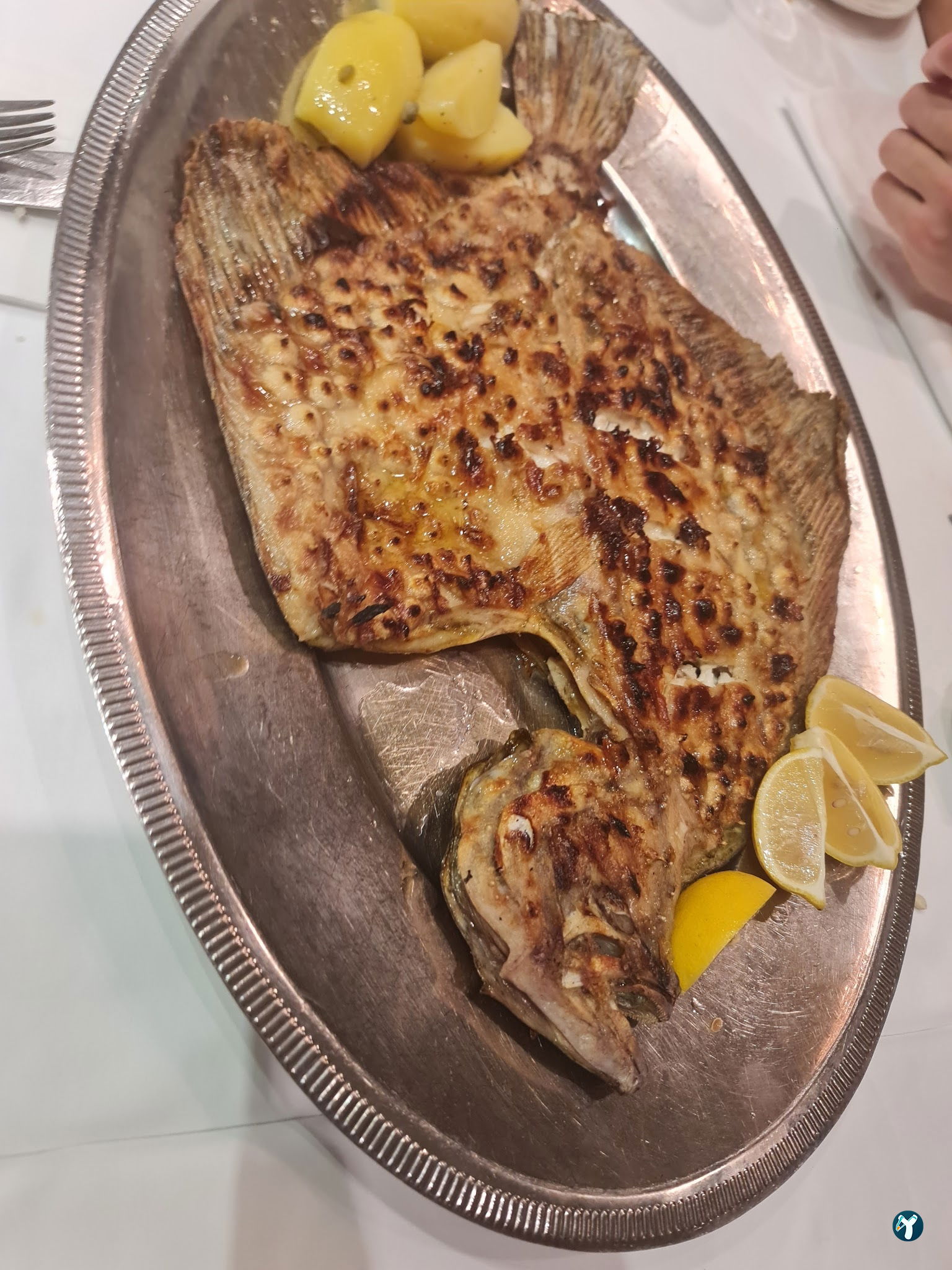 Kıyı Restaurant