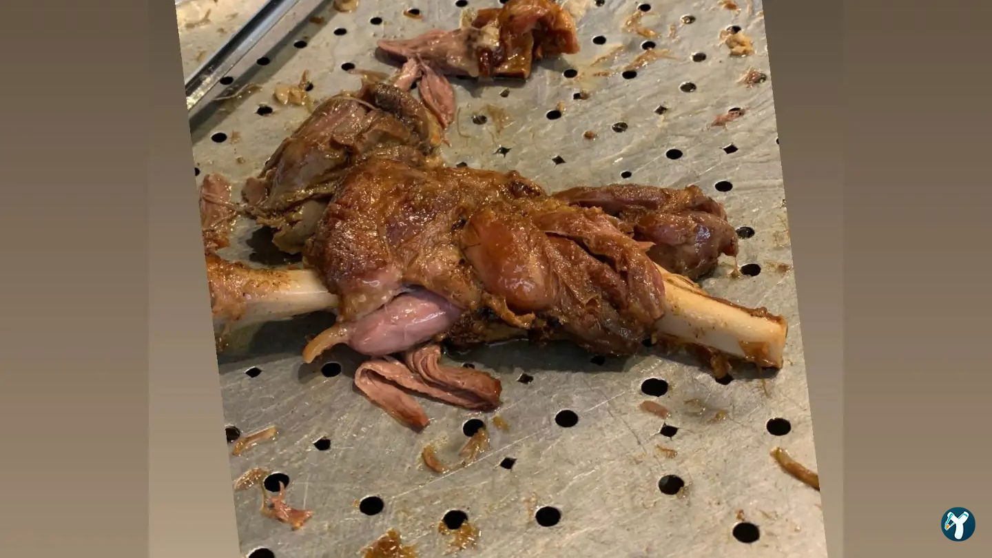 Meşhur Konyalı Kebap 1973 Kuzuların Efendisi