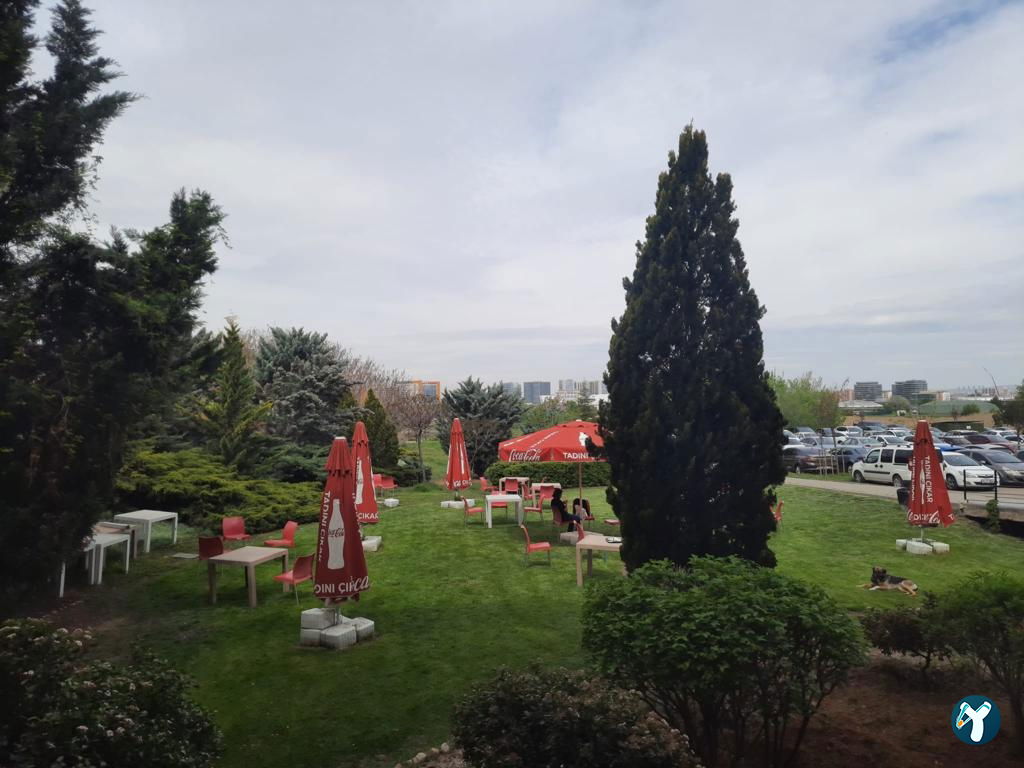 Odtü Zeytin Restoran Cafe Bistro Ankara