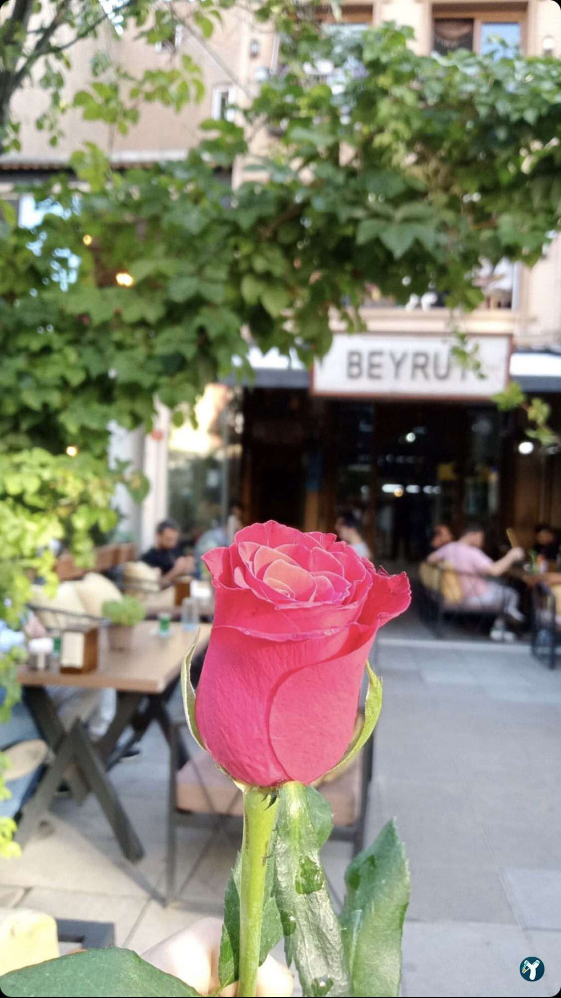 Beirut Café