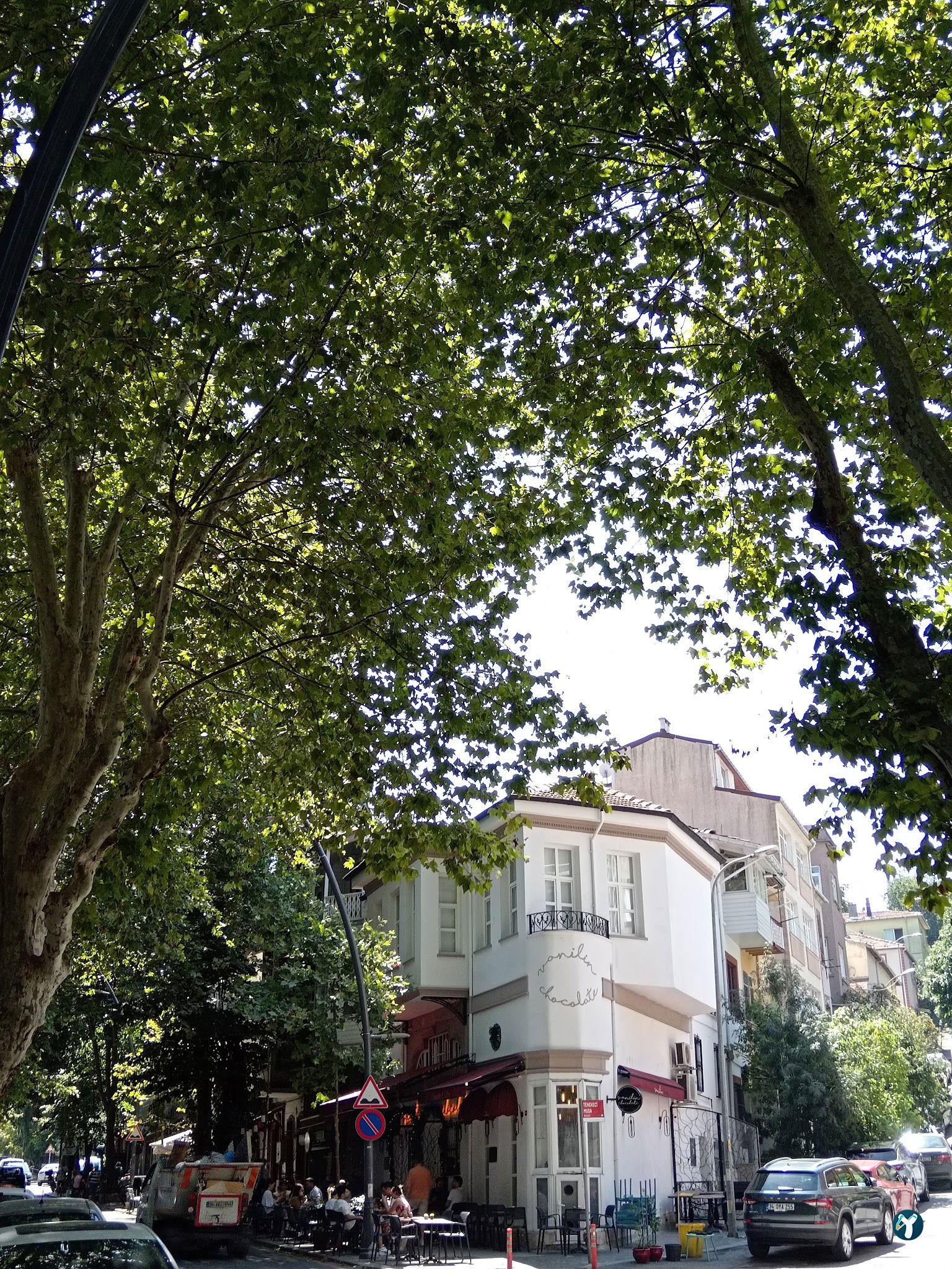 Ivy Cafe