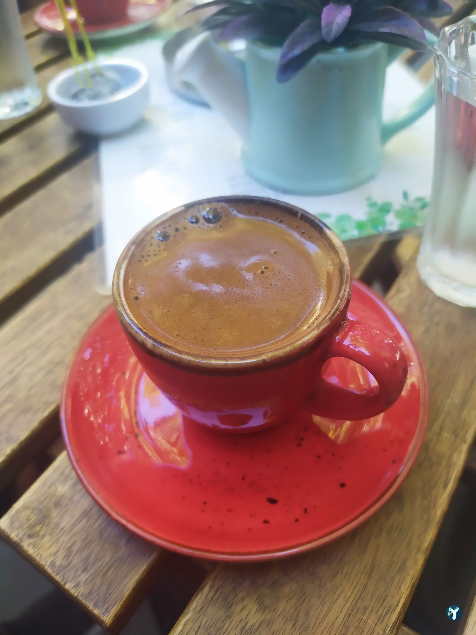Ivy Cafe