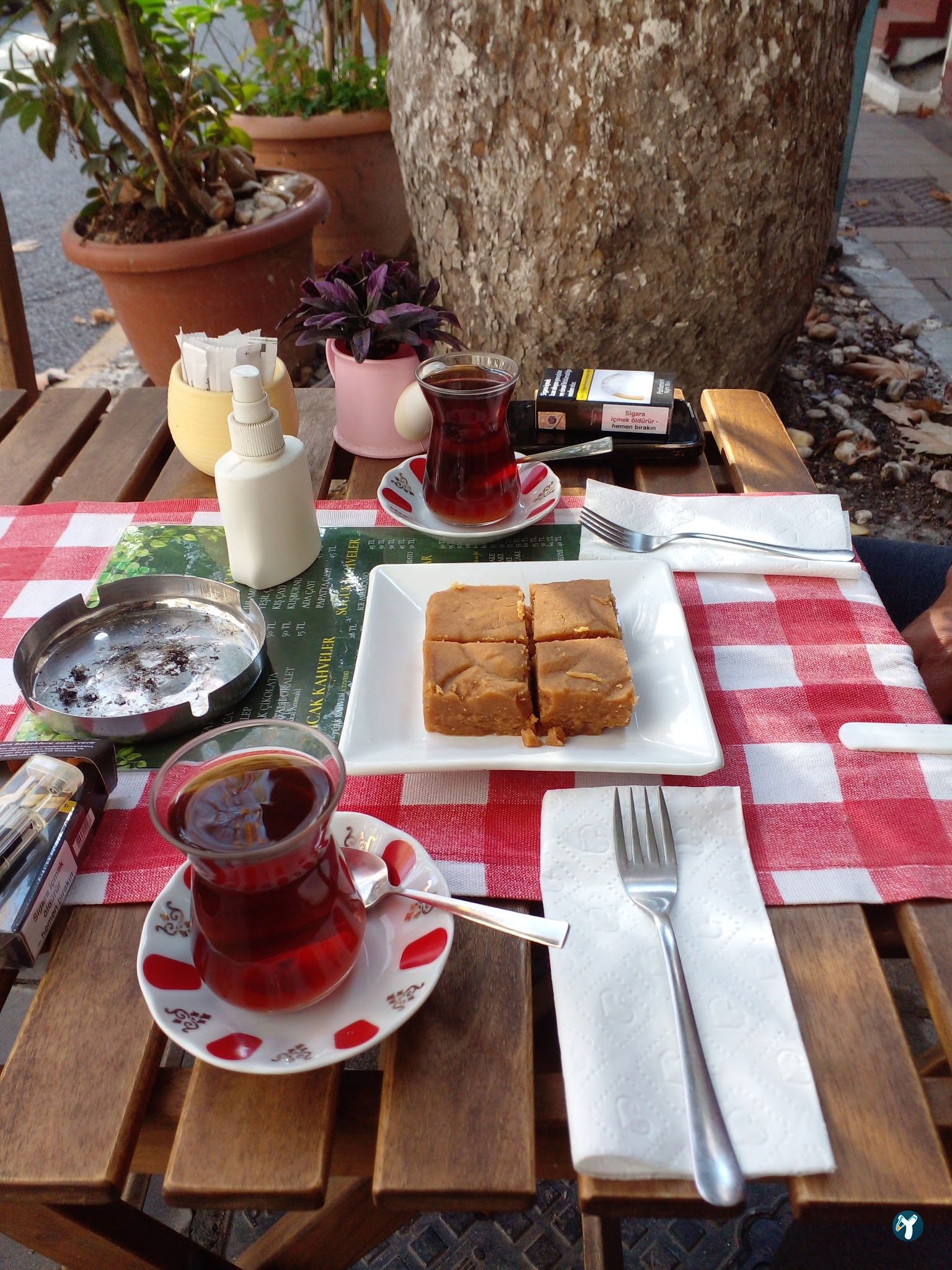 Ivy Cafe