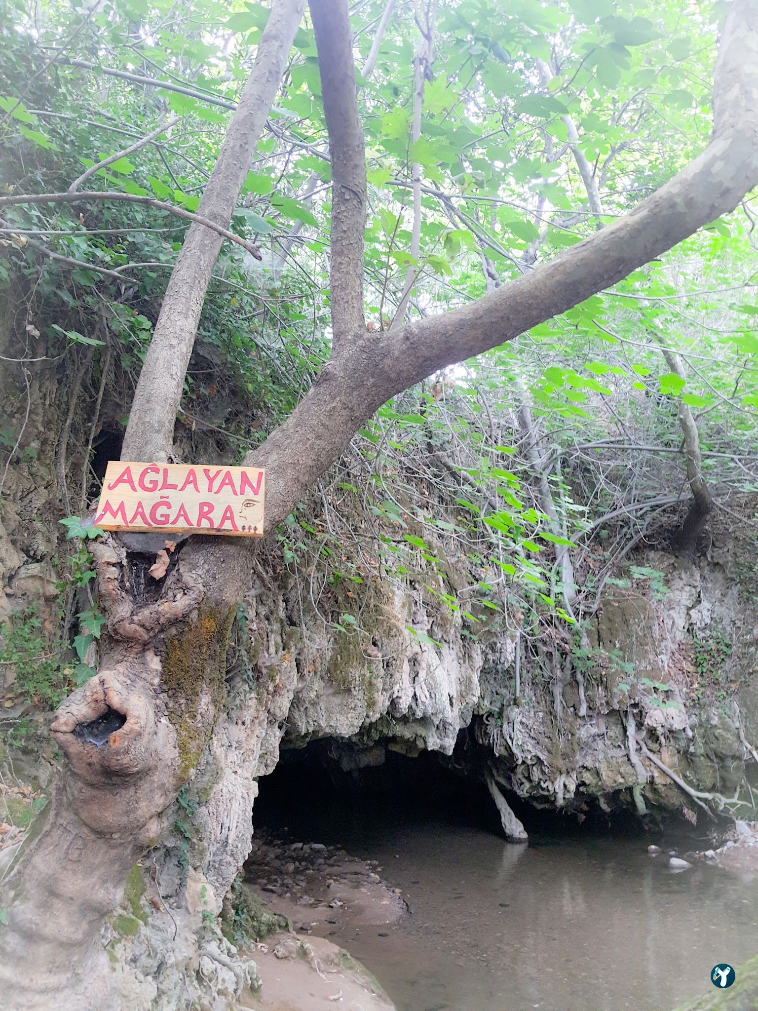 Ece Çağlayanı