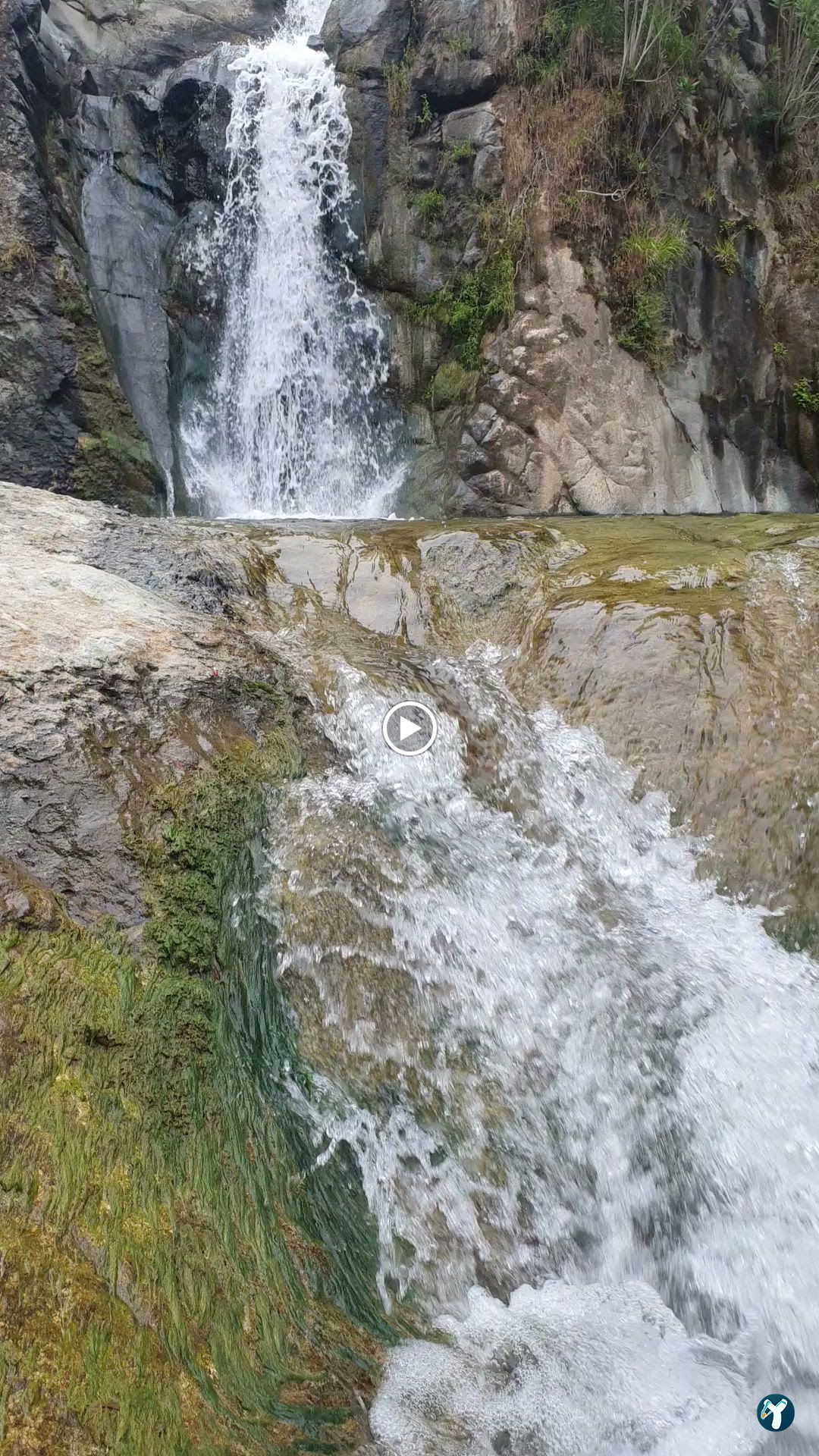 Ece Çağlayanı