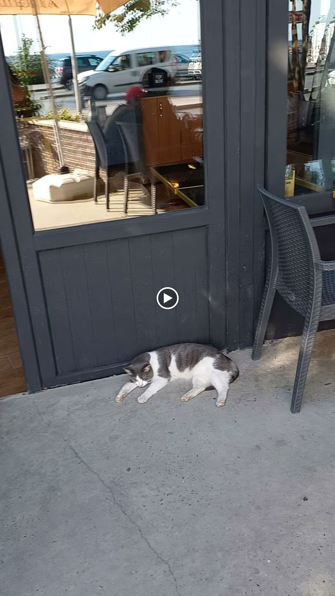 Korcan Aile Cay Bahcesi