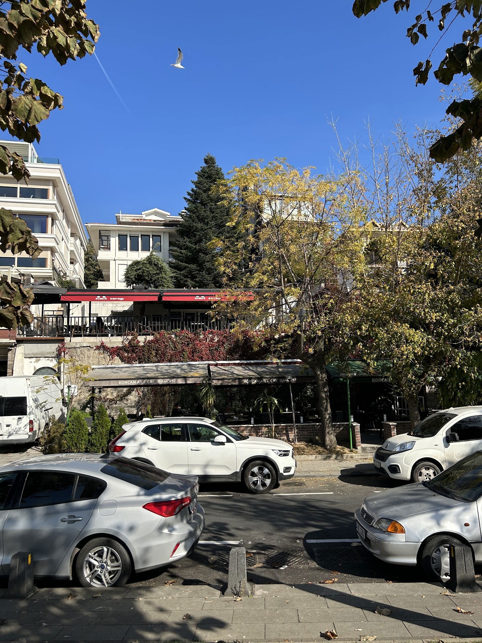 Korcan Aile Cay Bahcesi