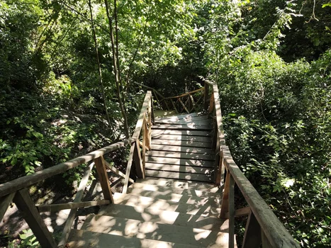 Mağara Cafe resimleri