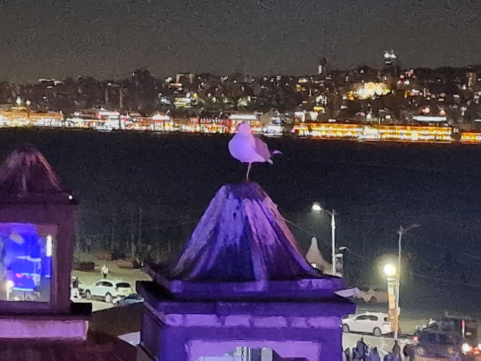 Trend 216 Cafe Restaurant