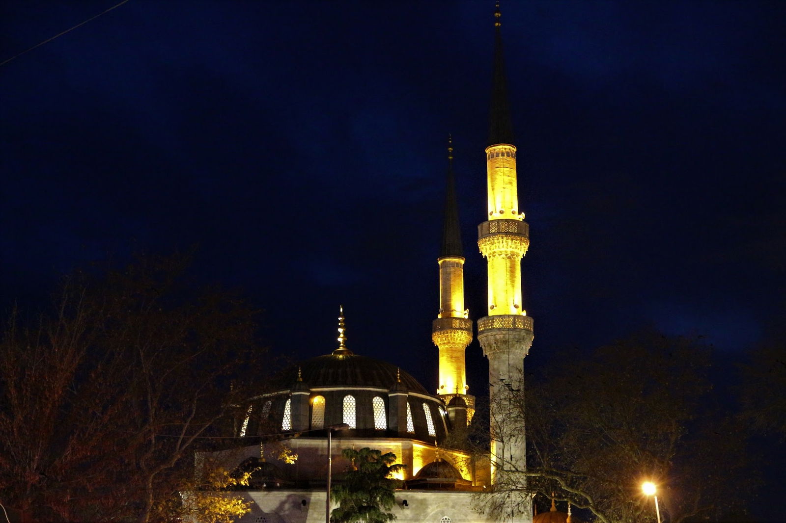 Trend 216 Cafe Restaurant