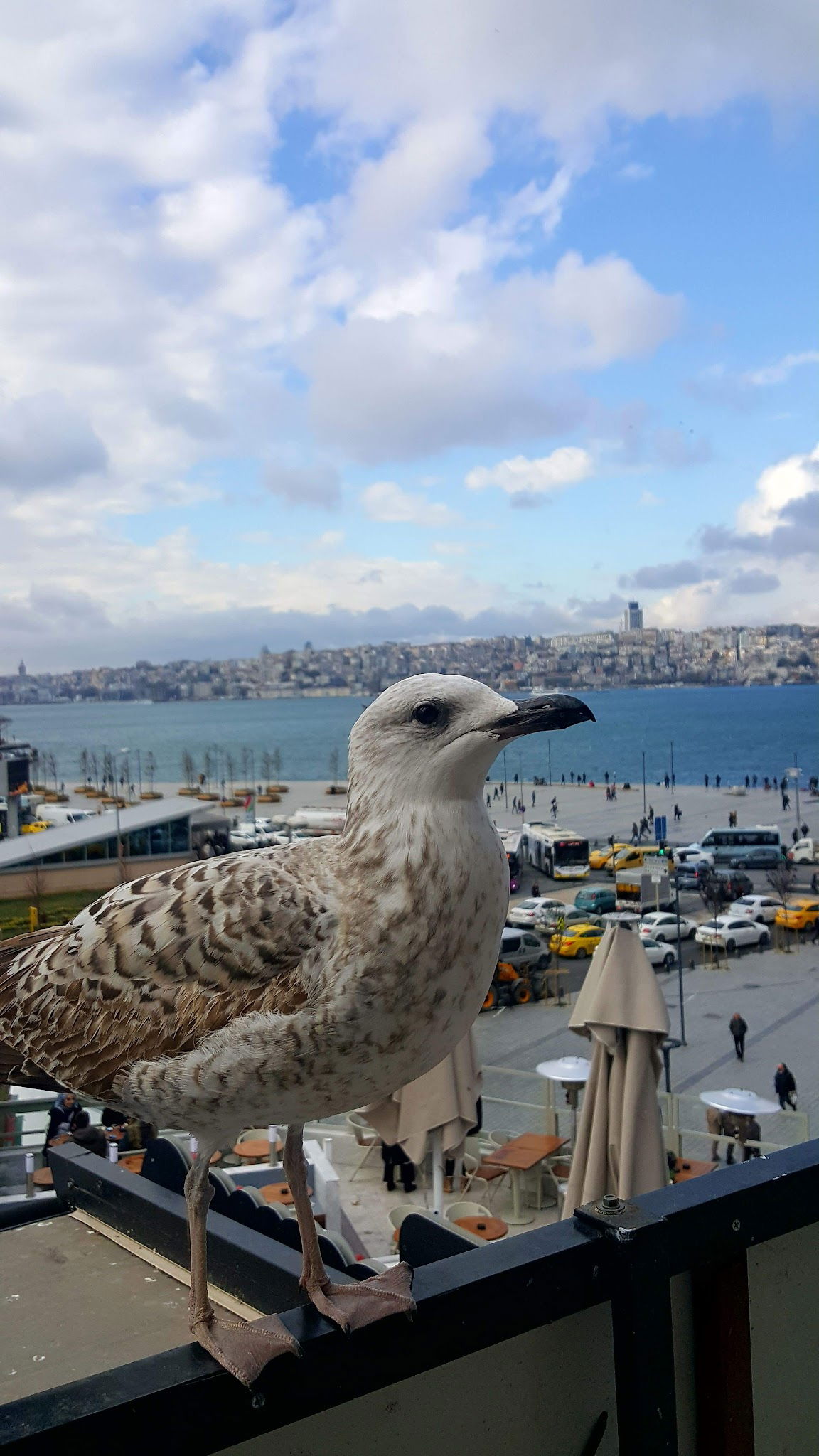 Trend 216 Cafe Restaurant