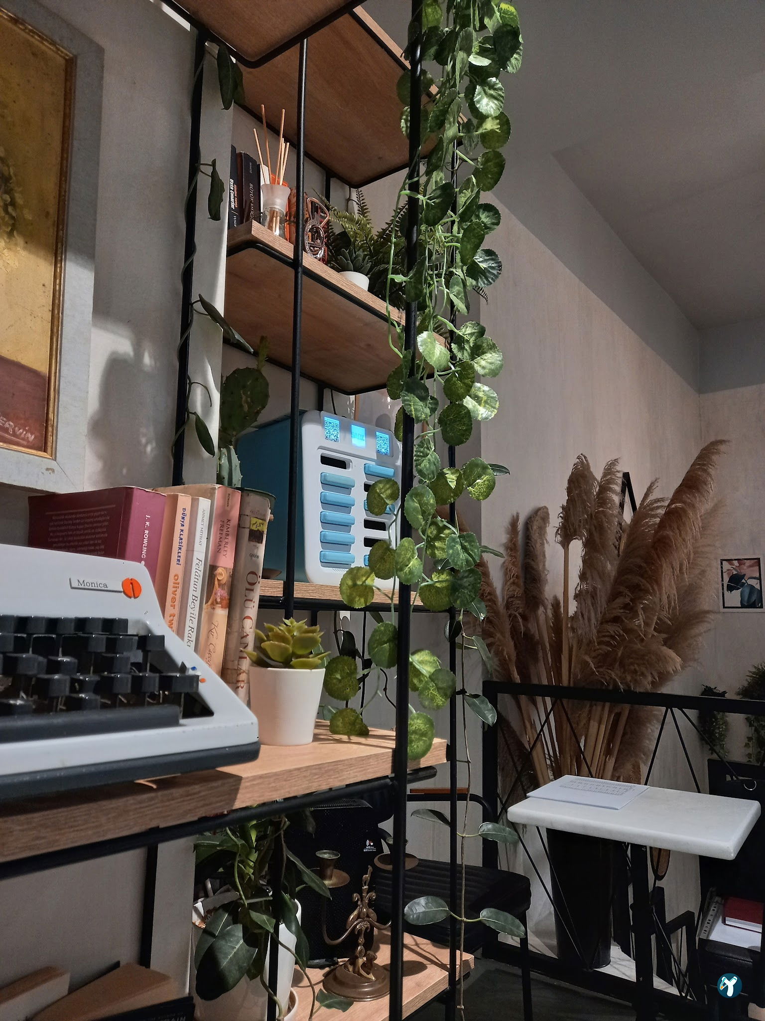 Bond Coffee Co. Fulya