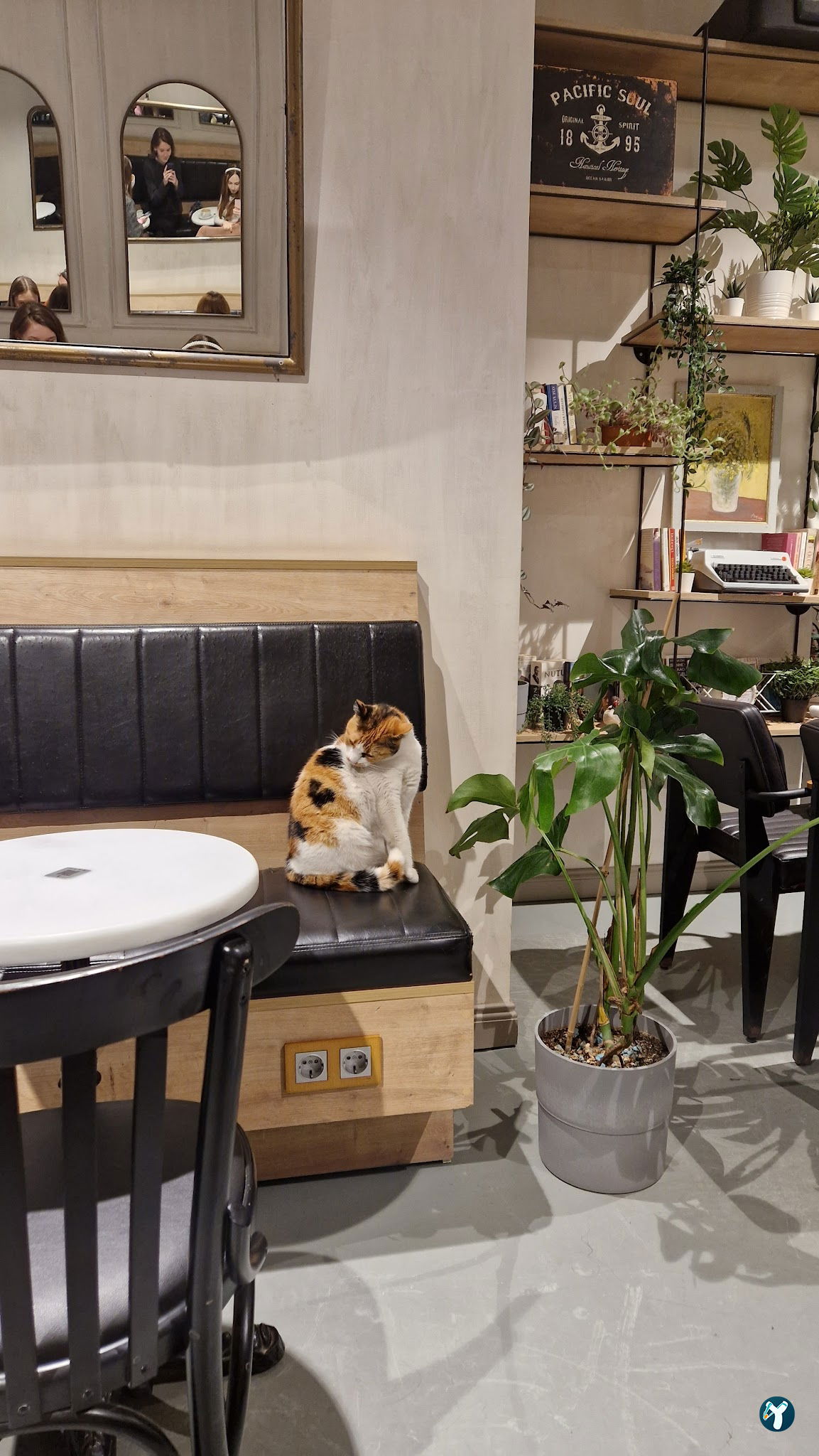 Bond Coffee Co. Fulya