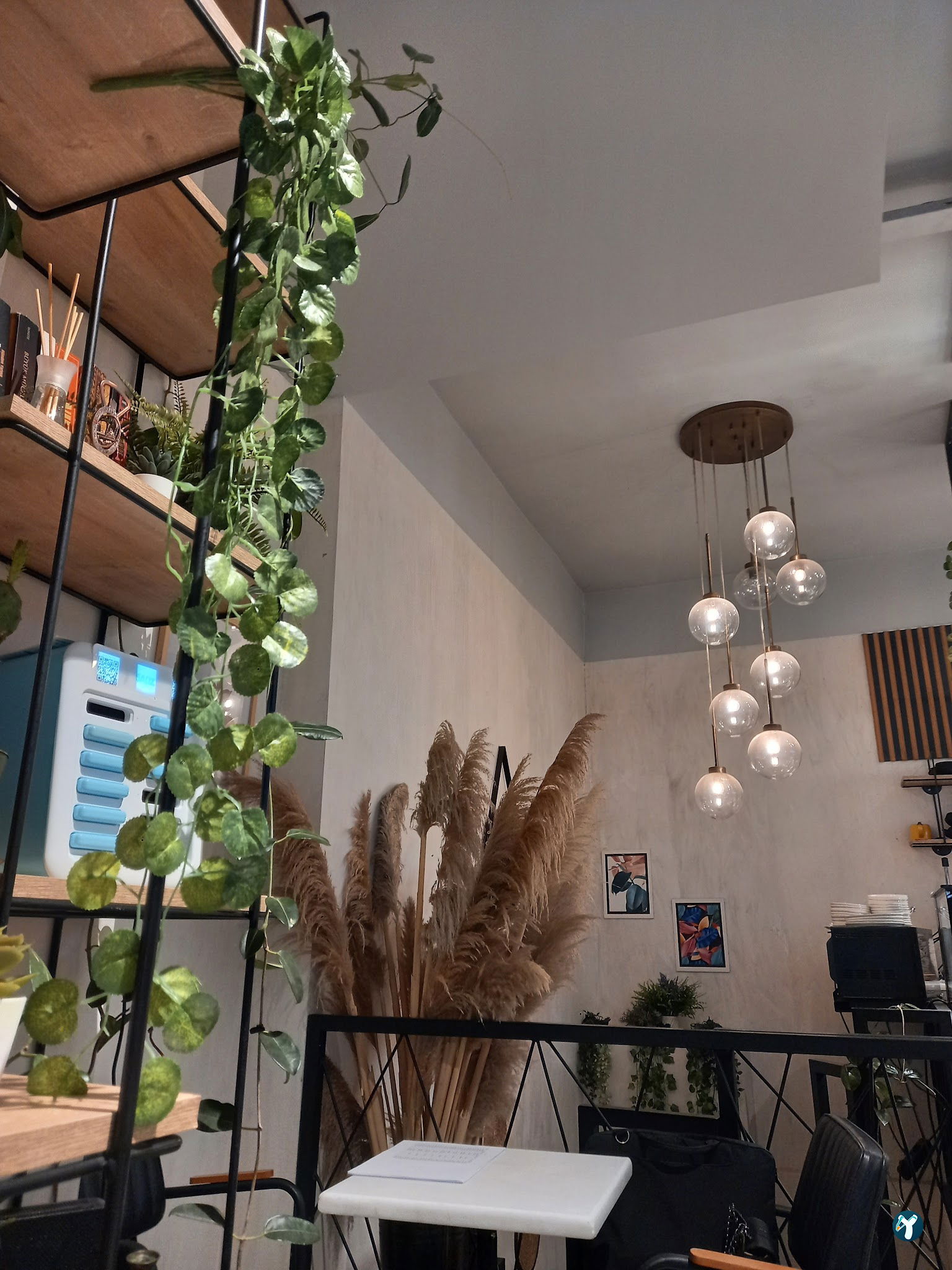 Bond Coffee Co. Fulya