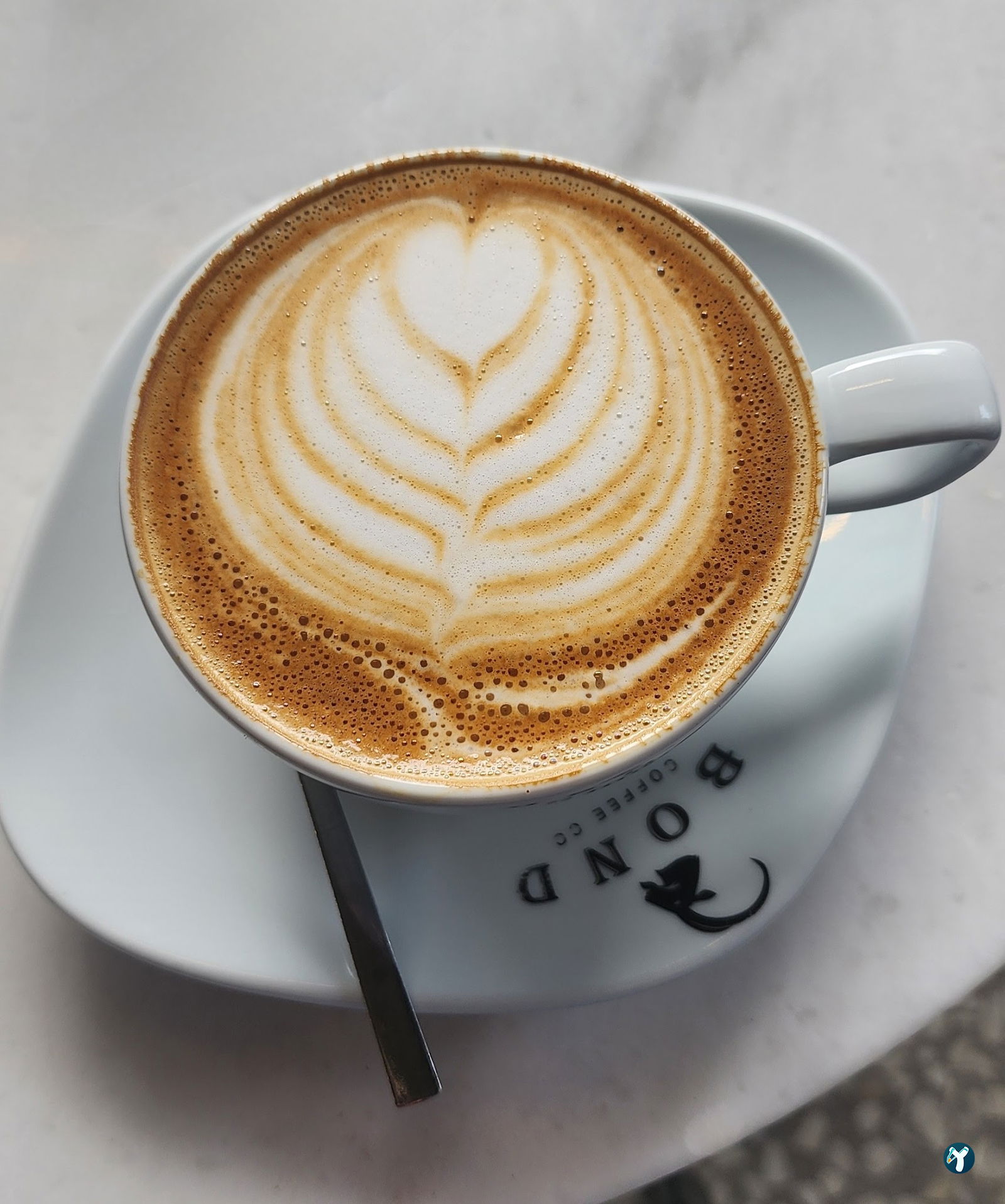 Bond Coffee Co. Fulya