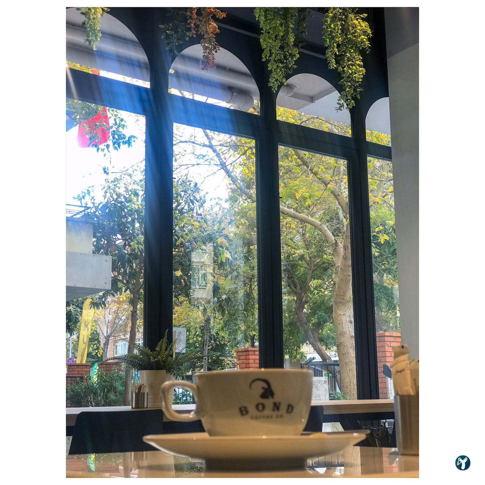 Bond Coffee Co. Fulya